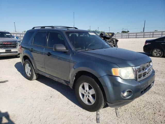 2010 Ford Escape XLT