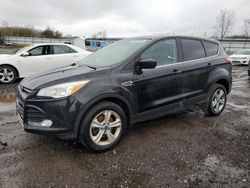 Vehiculos salvage en venta de Copart Columbia Station, OH: 2014 Ford Escape SE