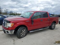 Salvage cars for sale at Lawrenceburg, KY auction: 2011 Ford F150 Supercrew