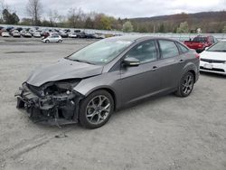 Salvage cars for sale from Copart Grantville, PA: 2013 Ford Focus SE
