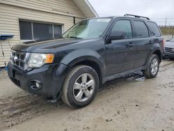 Salvage cars for sale at Northfield, OH auction: 2011 Ford Escape XLT