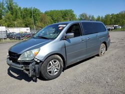 Honda salvage cars for sale: 2006 Honda Odyssey EXL