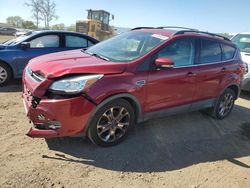 Salvage cars for sale at San Martin, CA auction: 2013 Ford Escape SEL