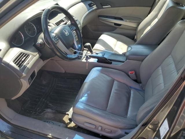 2008 Honda Accord EXL