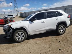 Salvage cars for sale from Copart Adelanto, CA: 2019 Toyota Rav4 LE