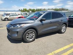 Ford Escape se salvage cars for sale: 2022 Ford Escape SE