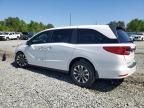 2024 Honda Odyssey EXL