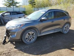 Vehiculos salvage en venta de Copart Davison, MI: 2022 Ford Escape SEL