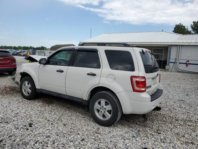 2011 Ford Escape XLS