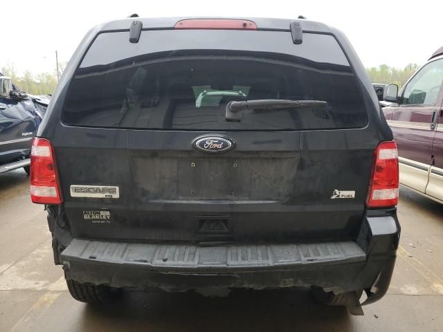 2010 Ford Escape XLT