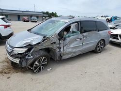 Salvage cars for sale at Harleyville, SC auction: 2019 Honda Odyssey Elite