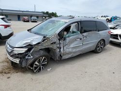 Honda salvage cars for sale: 2019 Honda Odyssey Elite