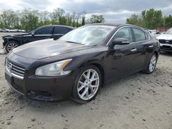 Nissan Maxima salvage cars for sale: 2010 Nissan Maxima S