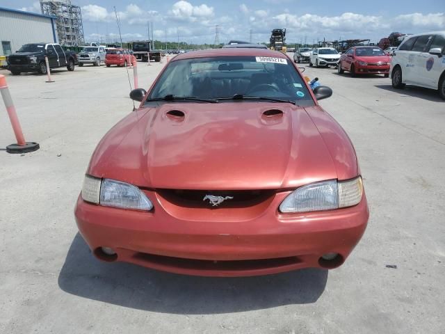 1998 Ford Mustang Cobra