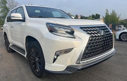 Salvage cars for sale from Copart Wilmington, CA: 2023 Lexus GX 460 Luxury