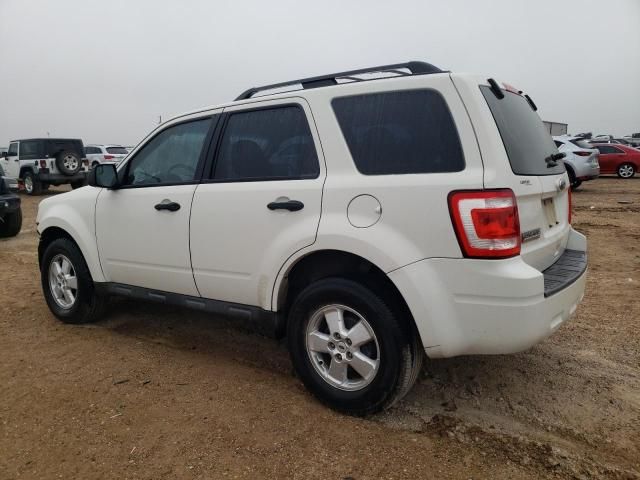 2011 Ford Escape XLS