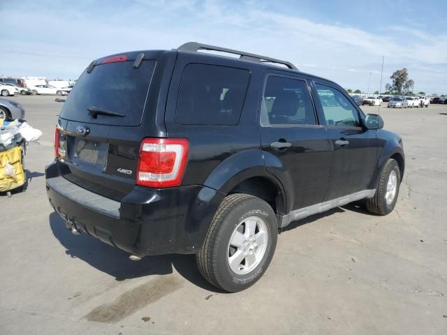 2009 Ford Escape XLT