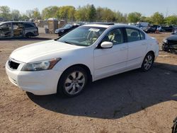 Salvage cars for sale from Copart Chalfont, PA: 2008 Honda Accord EXL