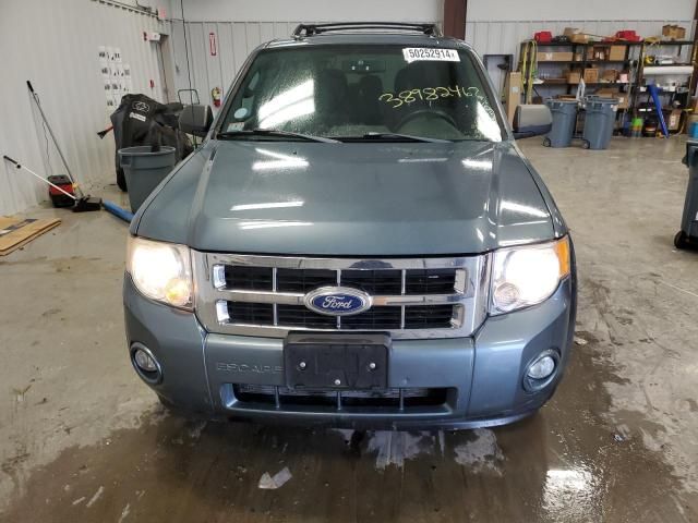 2010 Ford Escape XLT