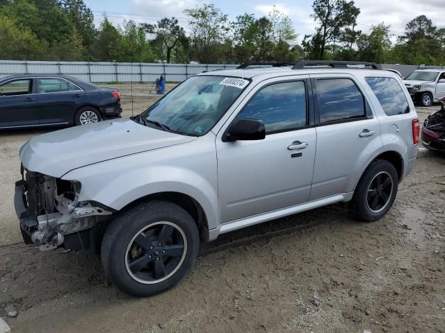 2009 Ford Escape XLT