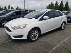 Salvage cars for sale at Rancho Cucamonga, CA auction: 2015 Ford Focus SE