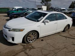 Salvage cars for sale at Woodhaven, MI auction: 2010 Toyota Camry Hybrid