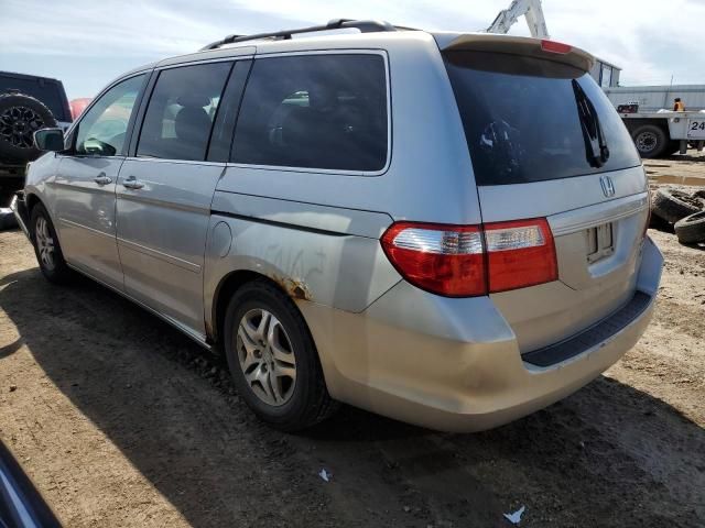 2005 Honda Odyssey EXL