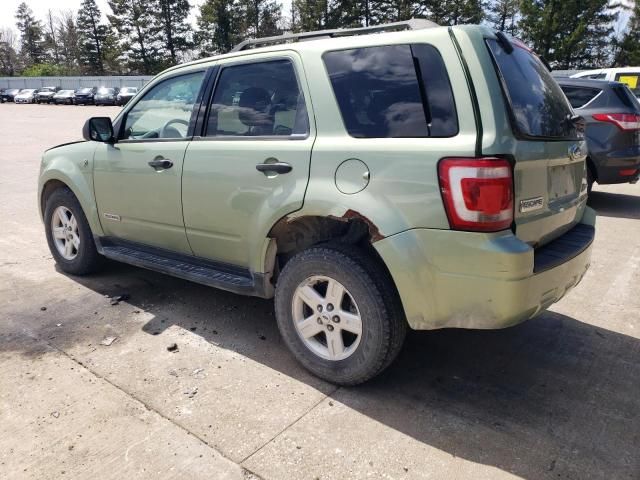 2008 Ford Escape HEV