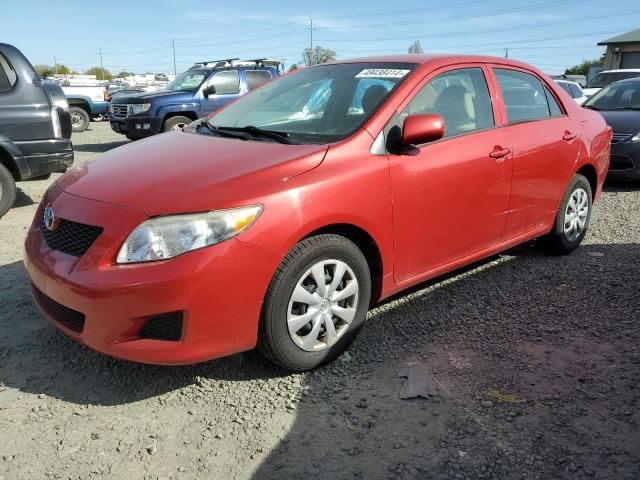 2010 Toyota Corolla Base