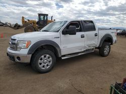 Salvage cars for sale from Copart Brighton, CO: 2013 Ford F150 Supercrew