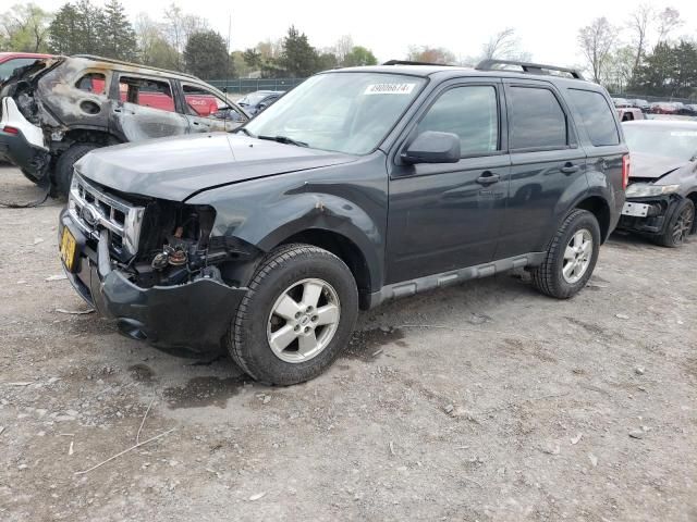 2009 Ford Escape XLT