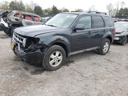 Ford Escape XLT salvage cars for sale: 2009 Ford Escape XLT