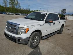 Salvage trucks for sale at Bridgeton, MO auction: 2013 Ford F150 Supercrew