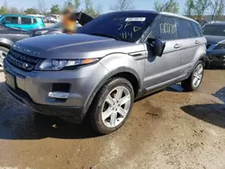Land Rover Range Rover salvage cars for sale: 2014 Land Rover Range Rover Evoque Pure Premium