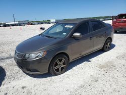 KIA salvage cars for sale: 2013 KIA Forte EX