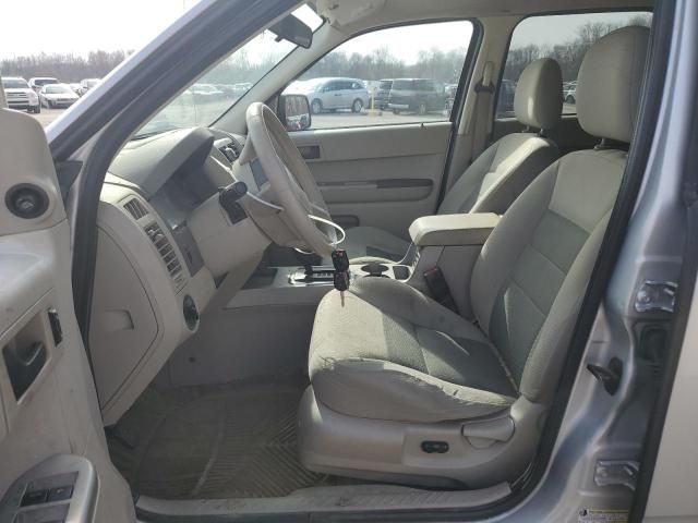 2008 Ford Escape XLT