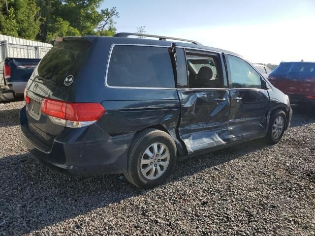 2010 Honda Odyssey EXL