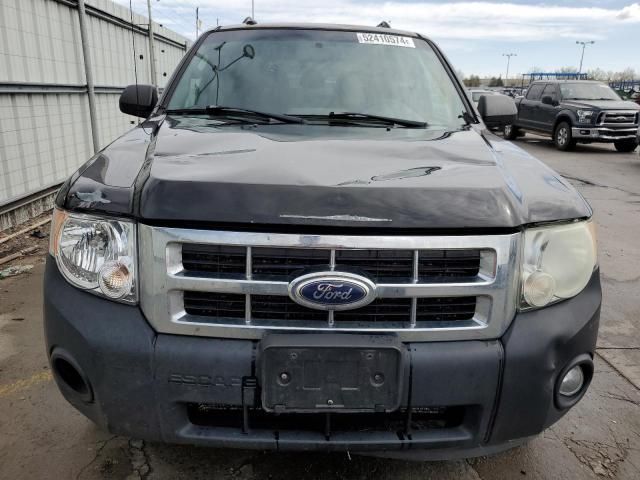 2010 Ford Escape XLT