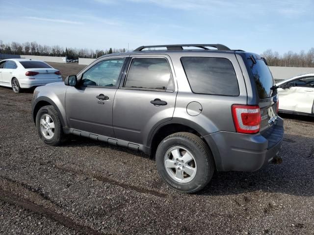 2009 Ford Escape XLT