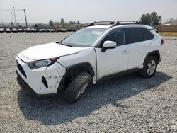 Toyota rav4 salvage cars for sale: 2021 Toyota Rav4 XLE