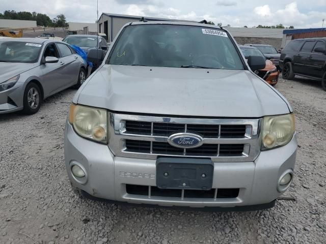 2008 Ford Escape XLT