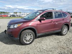 Salvage cars for sale from Copart Eugene, OR: 2013 Honda CR-V EXL