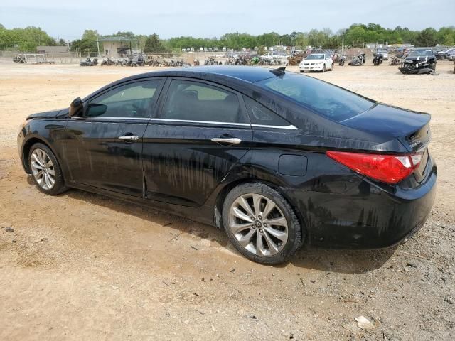 2013 Hyundai Sonata SE