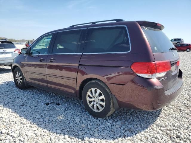 2010 Honda Odyssey EXL