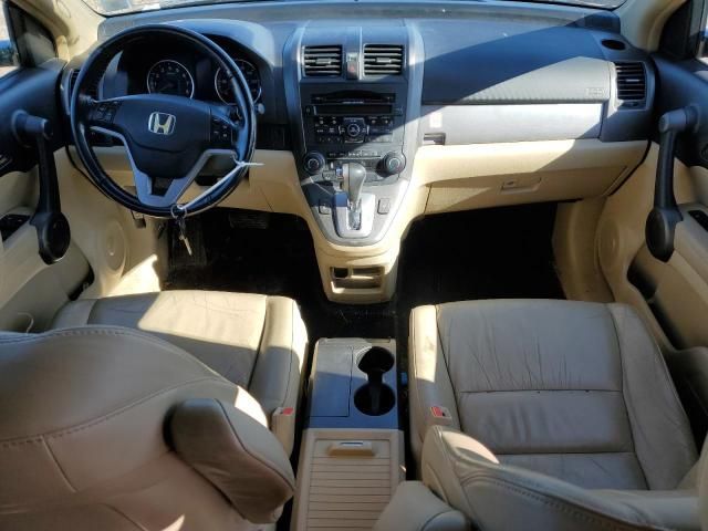 2010 Honda CR-V EXL