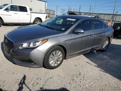 Salvage cars for sale from Copart Haslet, TX: 2017 Hyundai Sonata Hybrid