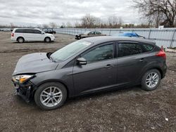 Salvage cars for sale at London, ON auction: 2017 Ford Focus SE