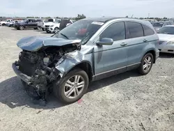 Salvage cars for sale at Antelope, CA auction: 2010 Honda CR-V EXL