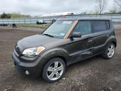 Salvage cars for sale at Columbia Station, OH auction: 2010 KIA Soul +