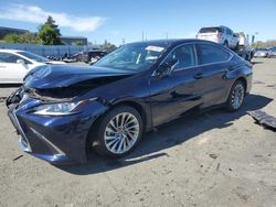 Salvage cars for sale at Vallejo, CA auction: 2019 Lexus ES 350